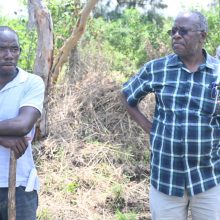 b9413056-94b1-40a9-87ac-e120dc18171e